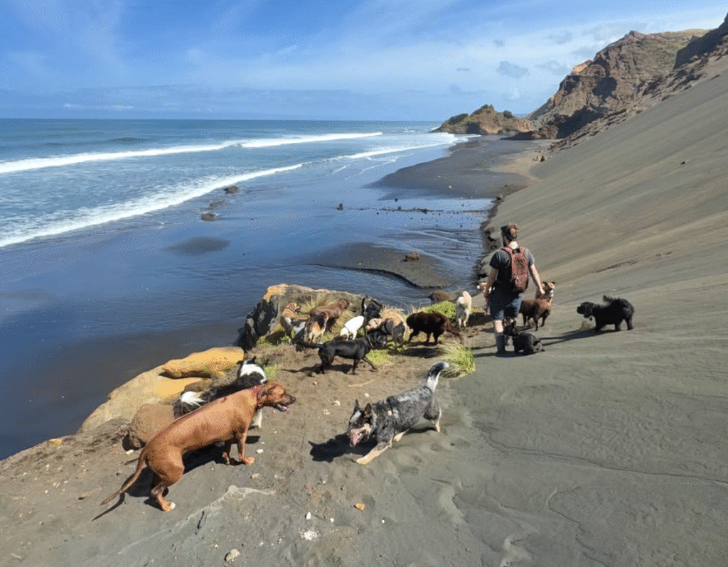 Screenshot 2025-10-15 at 12.51.26 PM