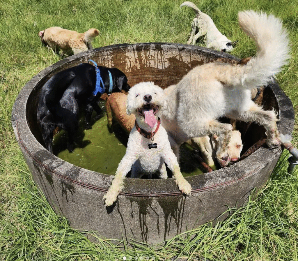 Screenshot 2025-10-21 at 12.41.59 PM