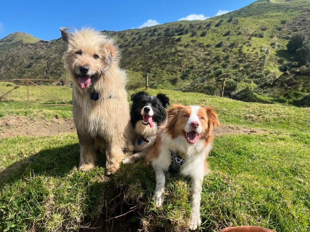 460905588_1311195126531684_7249235224768876786_n