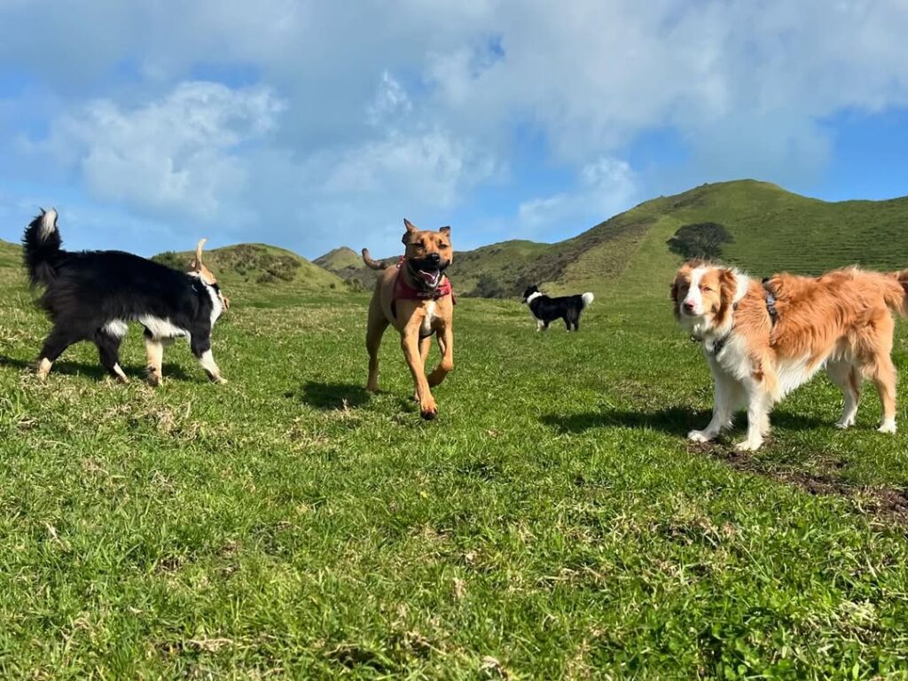 461139729_1344165123225765_8526716710515916578_n