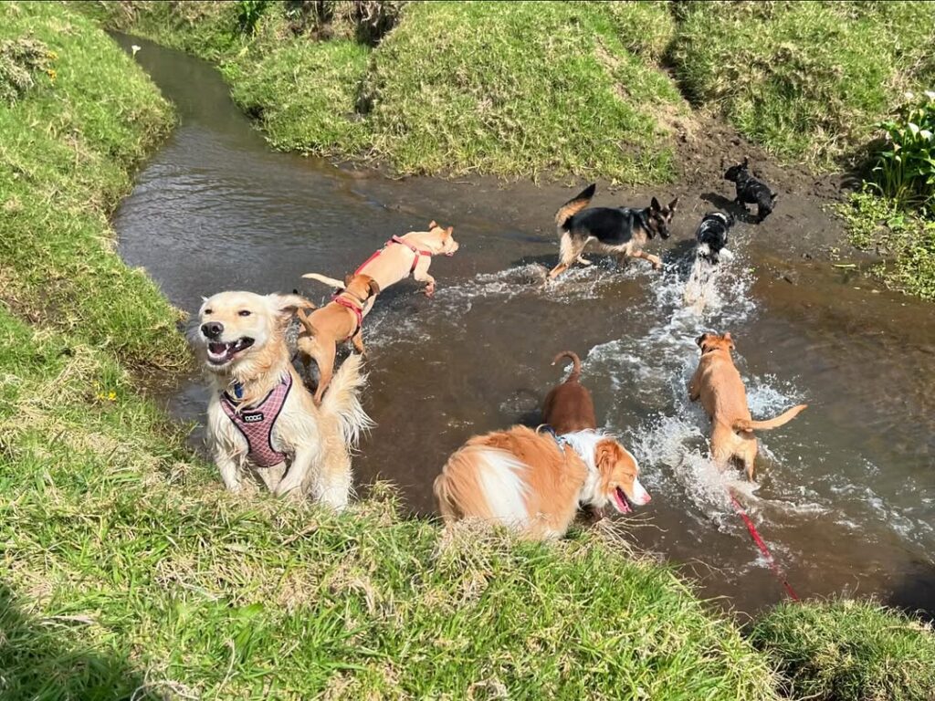 461157404_1048641276707077_35577850617100241_n