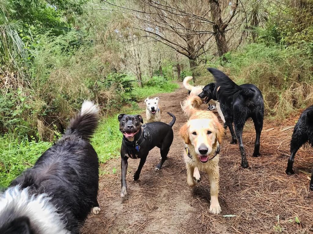 468364562_18384980575099449_2809775254066837449_n