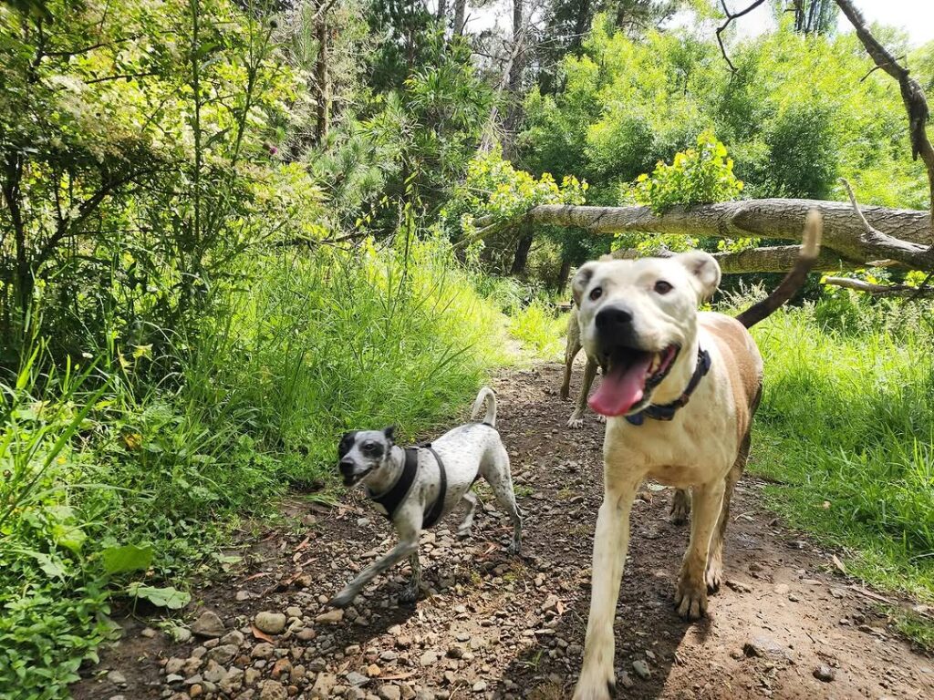 468367134_18384980593099449_1934623968048334874_n