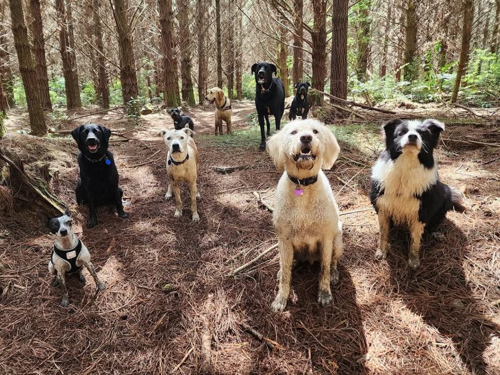 468368687_18384980611099449_8248423022535470529_n