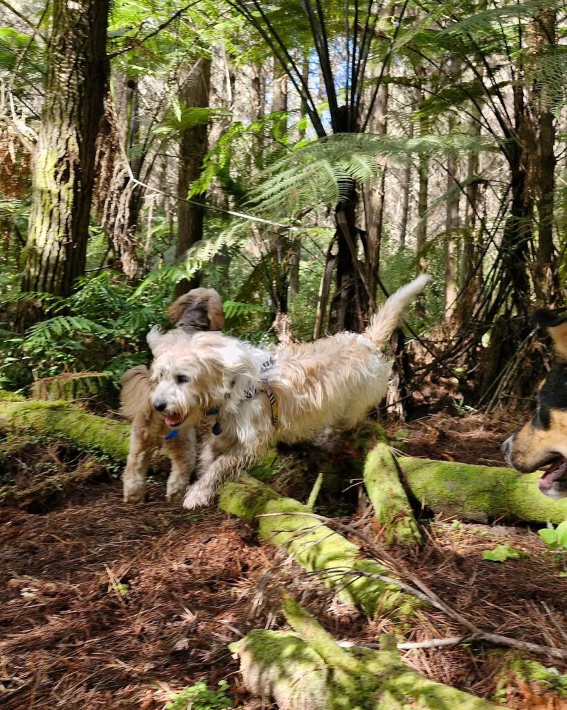 468738982_18385976734099449_5303467041046822480_n