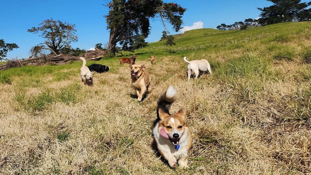 468775510_18385976674099449_3797765286459619920_n