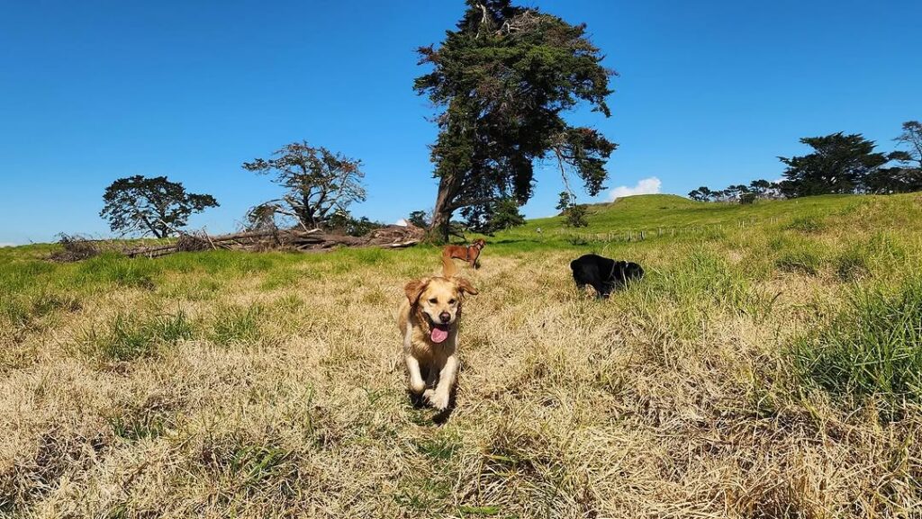 468812534_18385976698099449_1484630338682315789_n