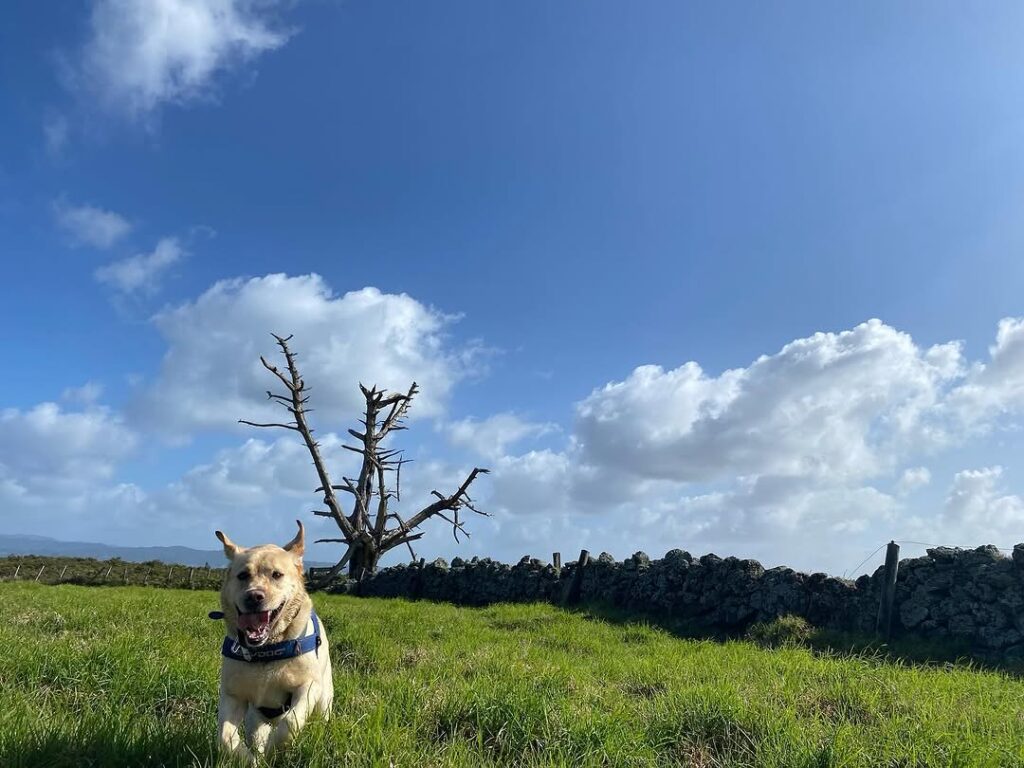 468863385_18385978369099449_8932909541824725057_n