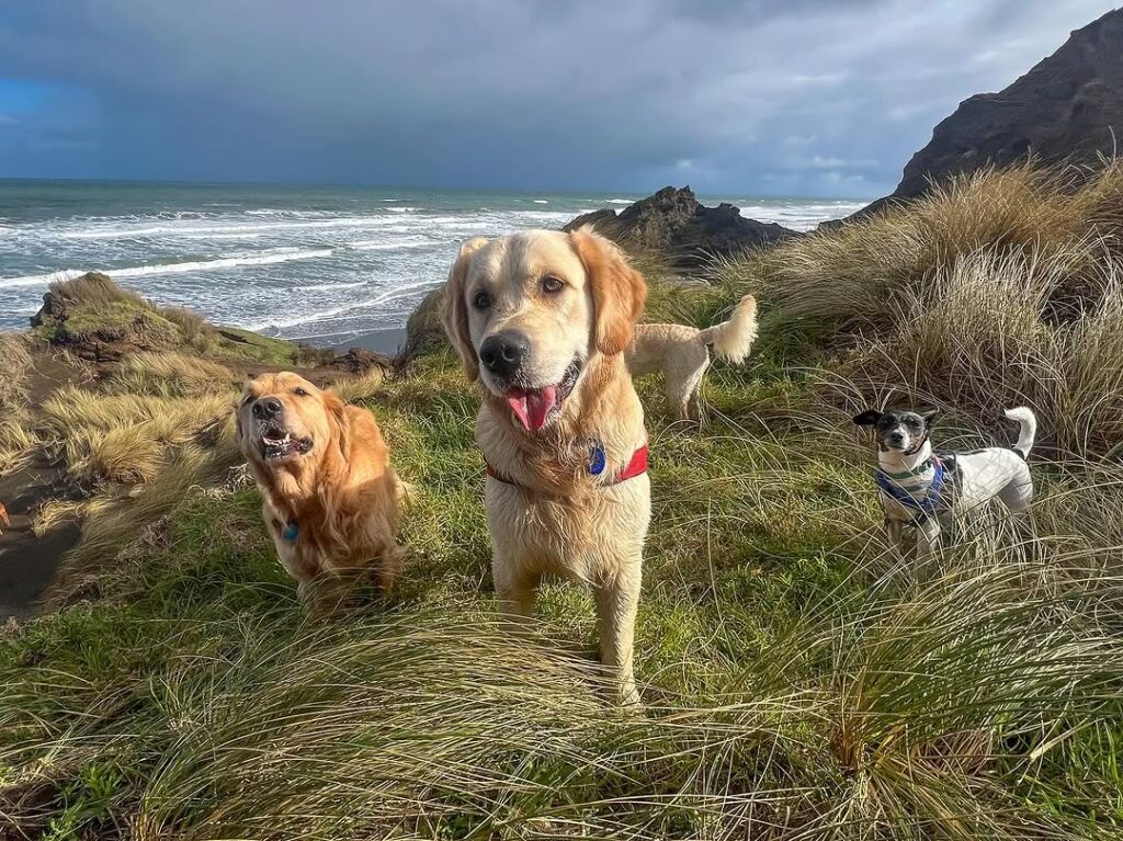 468965463_18385972198099449_6559085454941846301_n