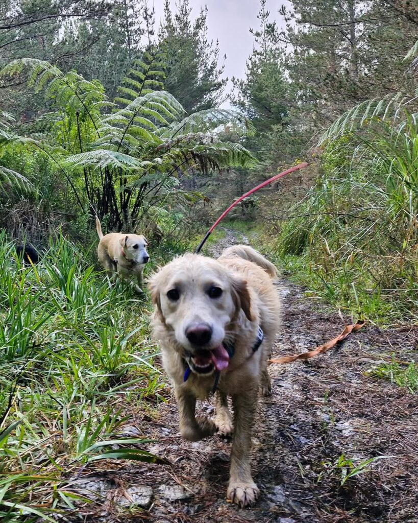 468975012_18385976725099449_7590900104077101621_n