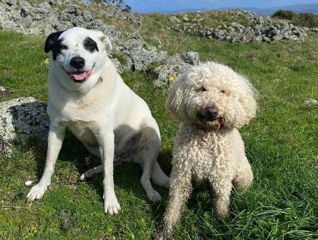 469085768_18385978471099449_5264695305269060158_n