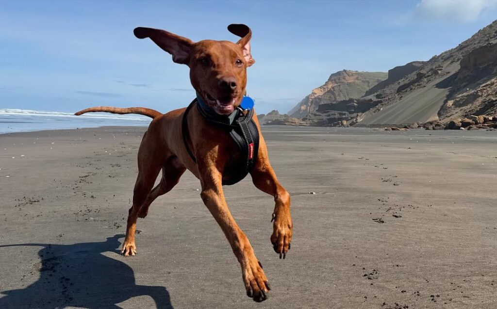 469901823_18387383491099449_7006883007517998347_n