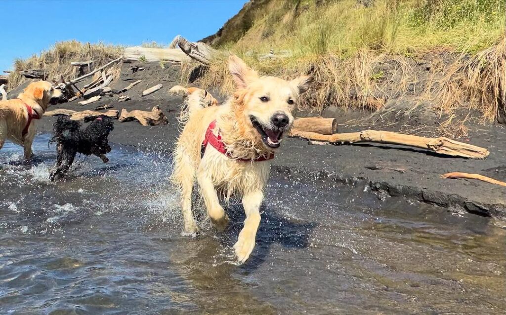 469908492_18387383521099449_2105163028663466546_n