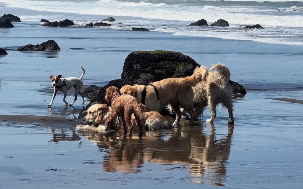 470029355_18387383548099449_4371037833203910884_n