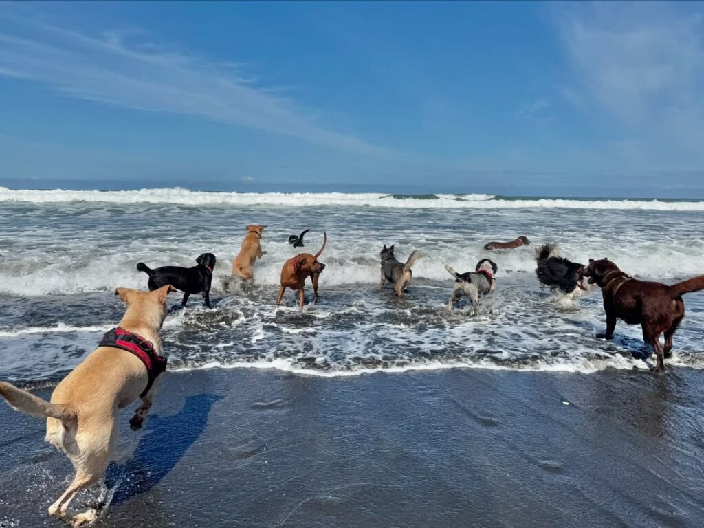 473886102_949932480433448_6282532746661421021_n