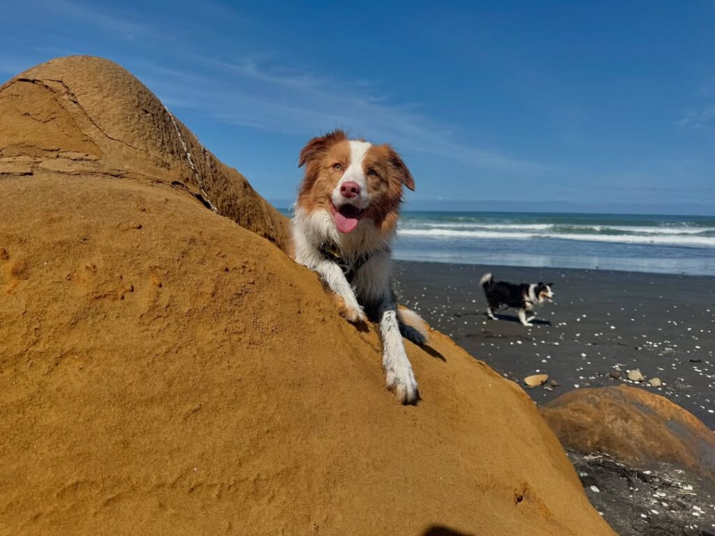 473961042_614135947803729_8412183278105446758_n