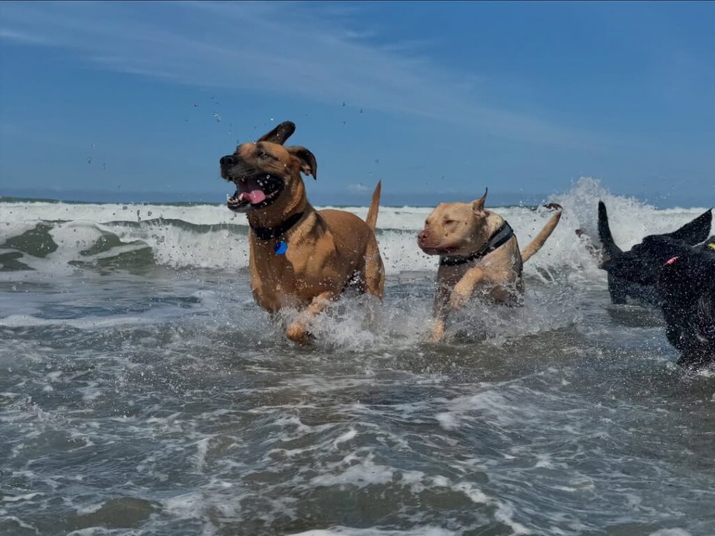 473989328_2725588604318972_1420162493130849017_n