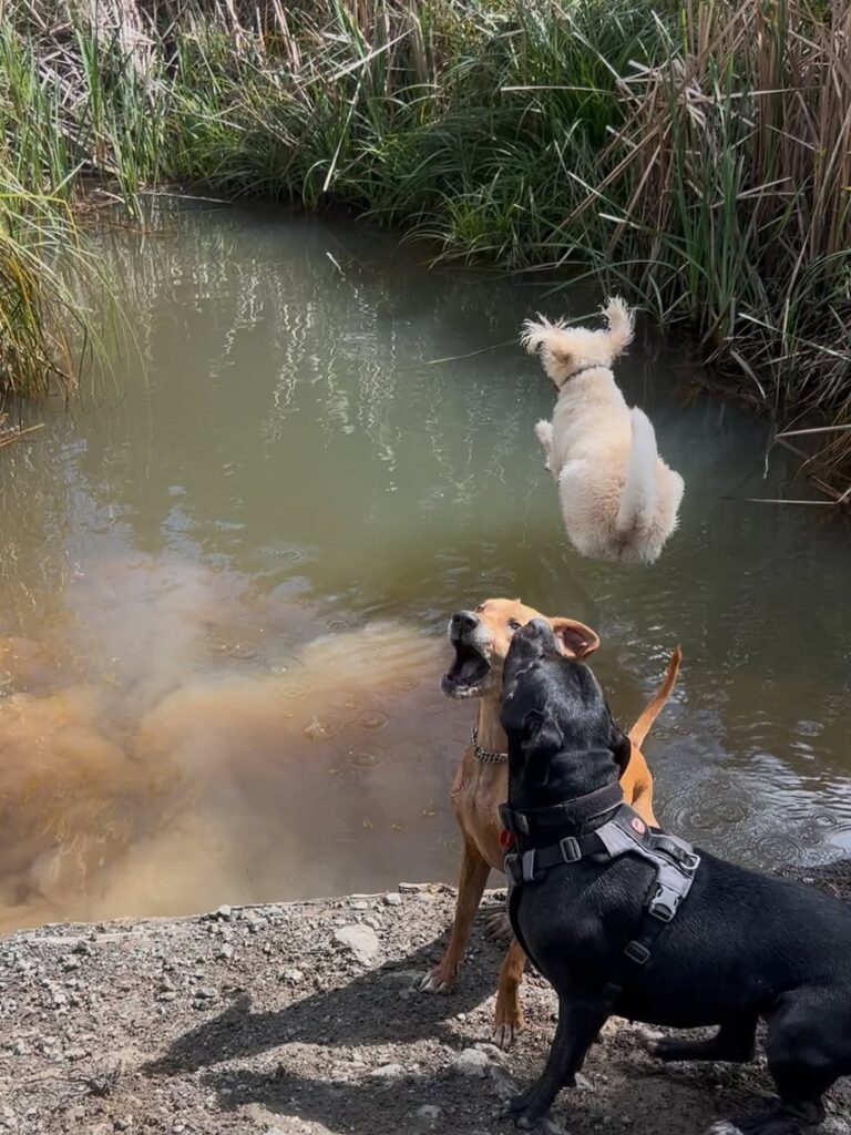 557828544_18431198929099449_5636536768103527902_n