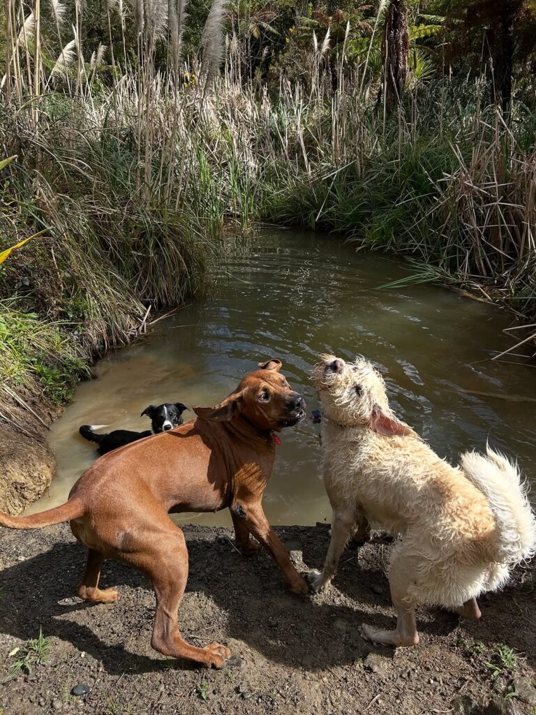 559742911_18431468188099449_207599499238975452_n